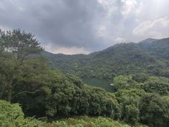 -鼎湖山风景区