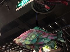 -探鱼·鲜青椒爽麻烤鱼(广州花都来又来店)