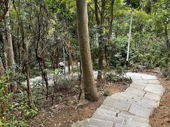 -水濂山森林公园