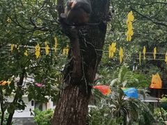 -桂林独秀峰王城景区