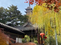 -常熟方塔园
