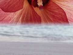 -中央格兰德岛温泉度假酒店 - 全包