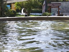 -思念果岭悦温泉