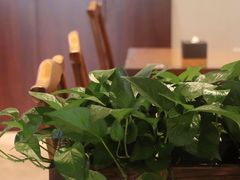 -吕纪蘇面(保利广场店)