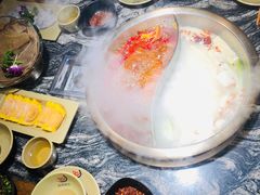 -渝味晓宇火锅(合川路店)