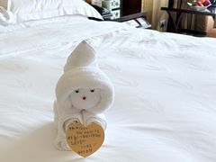 -深圳星河丽思卡尔顿酒店