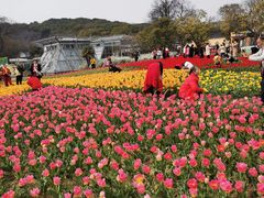 -无锡梅园公园