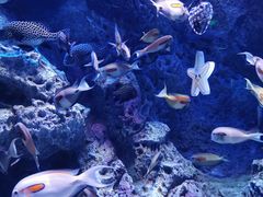 -成都浩海立方海洋公园