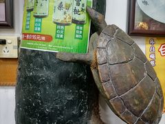 -海天堂(玉带濠店)