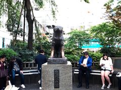 -涩谷区