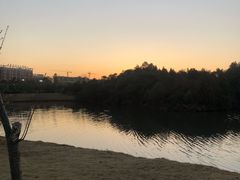 -景德镇中国陶瓷博物馆西山湖凯莱度假酒店