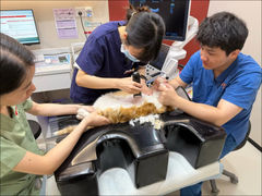 -御宝贝24h宠物医院·转诊中心·CT核磁血透中心(厦门总院)