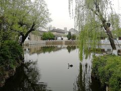景点-水绘园