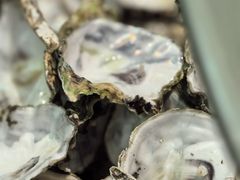 -梨花自助烤肉(西三旗万象汇黑金店)