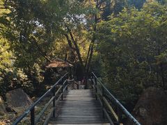 -天门沟九州驿站树上汤泉