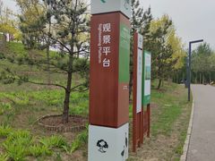 -东郊湿地公园
