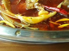 -红牌美蛙鱼头火锅(万辉国际广场店)