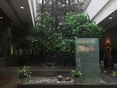-中国湿地博物馆