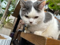 -深圳春天阳光医院·轮廓抗衰中心