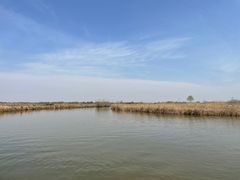 -宁波杭州湾国家湿地公园