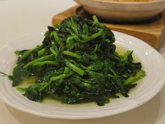 鸡汁豆苗-利苑酒家(金宝店)