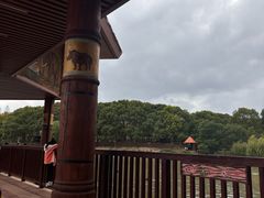 -上海野生动物园老虎餐厅