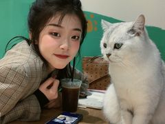 -藏猫猫咖啡主题馆(中央大道店)