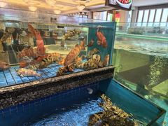 -聚福宝合苑食府(南头镇店)