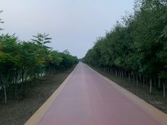 -西青郊野公园