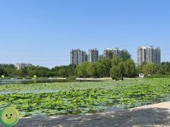 -太阳宫公园