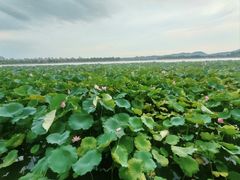 -喜士多便利店(杭州西湖华侨饭店店)