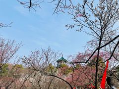 -无锡梅园公园