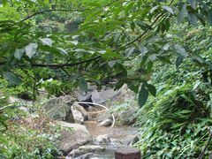 -藏龙百瀑风景区