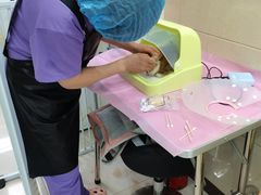 -北京观赏动物医院·24小时大型综合·猫专科·异宠专科