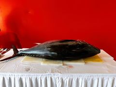-九朝会昆曲·宴(望京店)