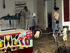 -南戴河国际娱乐中心