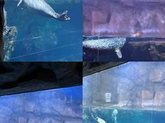 -南昌融创海世界