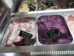 -Patagonia Chocolates(皇后镇店)