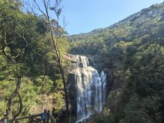 -海南热带雨林国家公园吊罗山景区