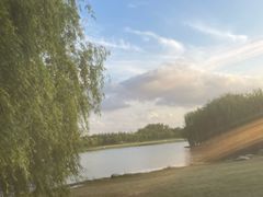 -上海滨江森林公园