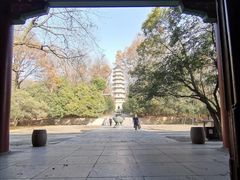 -灵谷景区