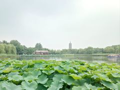 -西海子公园