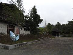 -大唐贡茶院