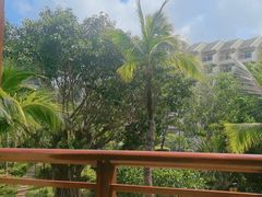 -亚龙湾喜来登·美景台大堂吧