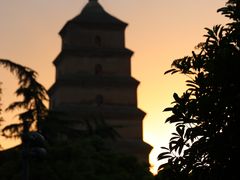 -曲江春晓苑