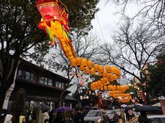 -西溪国家湿地公园