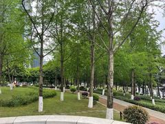 -重庆市江北嘴中央商务区中央公园