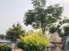 -华夏文旅海洋公园