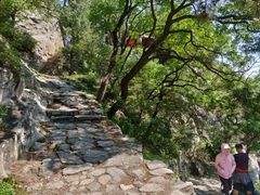 -北京鹫峰国家森林公园