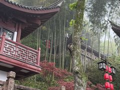 -韬光茶庵